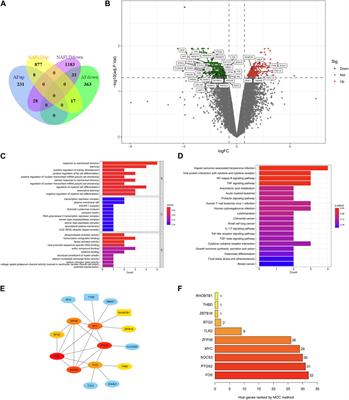 Identification of key genes increasing susceptibility to atrial fibrillation in nonalcoholic fatty liver disease and the potential mechanisms: mitochondrial dysfunction and systemic inflammation